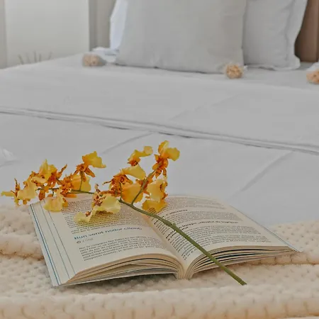 Olive In Meraki & Apartamento